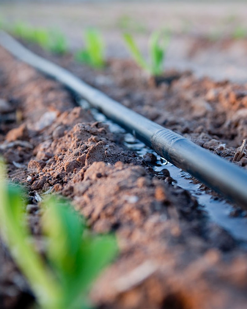 Drip Irrigation Pipe